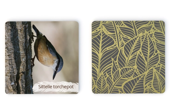 Exemple de carton de jeu du Mémo photo des oiseaux du Lot et d'Occitanie